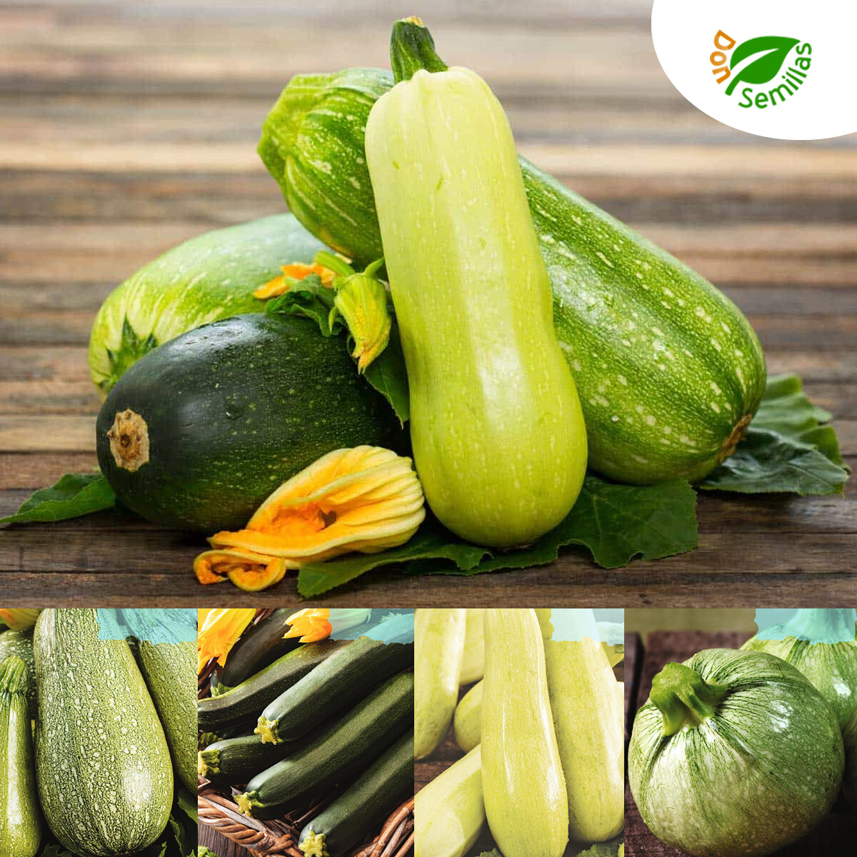 Calabacín Mezcla ( 50 semillas ) Mix 4 variedades - Calabacin Variado