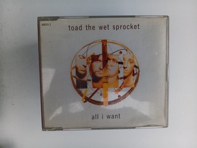 CD, toad the wet sprocket, all i want