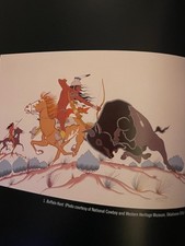 AFTER THE STORM-NEW-EITELJORG-NATIVE AMERICAN ARTS-NEW-1ST ED-PROFUSELY ILLUST'D