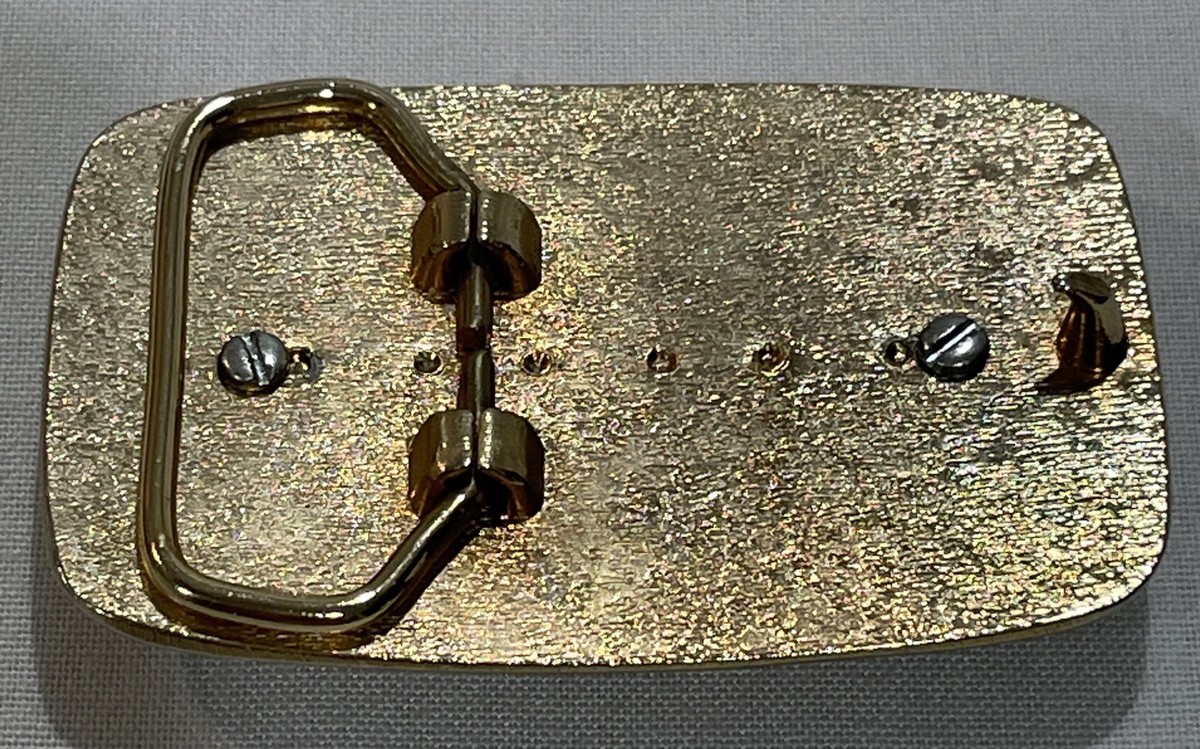 Western Metal & Natural Jasper Stone Belt Buckle Coastal Cowgirl Festival Style s-l1200.jpg main image 3