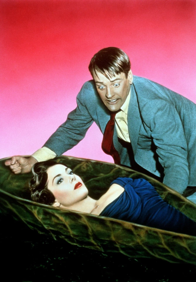 Die Dämonischen (1956) - Die Invasion der Körperfresser - Don Siegel - [Blu-ray] - Bild 4 von 4