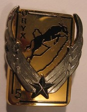 ALAT  5° RHC   ORYX Insigne Delsart