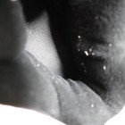 Bild 12 von 20