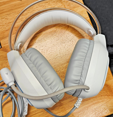 X22 Professional Gaming Headset (Wired). Makes Your Gaming A Great Experience.