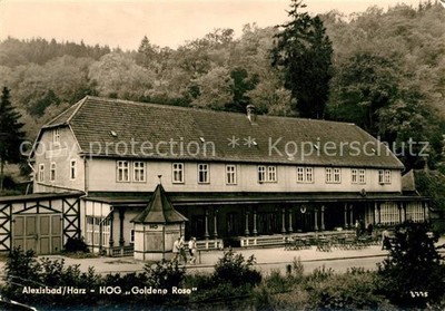 Alexisbad Harz HOG Goldene Rose