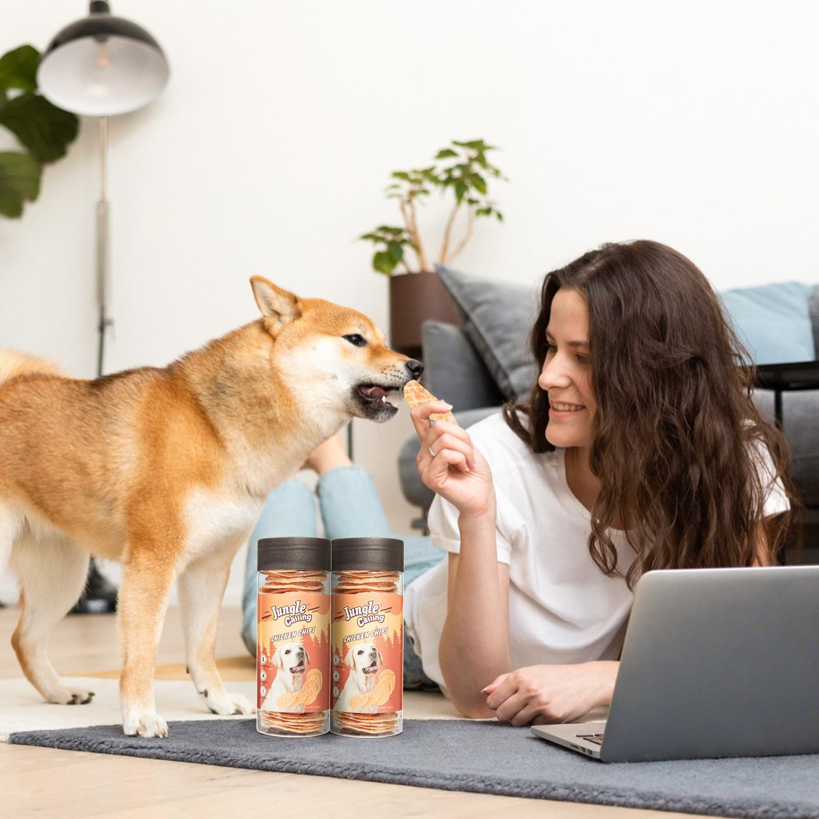 Dog Treats, Single Ingredient Chicken Chips, Crunchy Jerky Chip Training Trea...