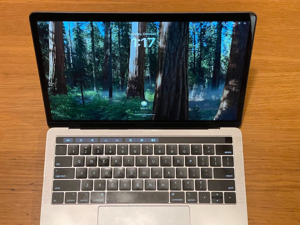 Apple MacBook Pro 13.3