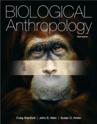 Biological Anthropology (3rd Edition) by Stanford, Craig|Allen, John S.|Antón… | eBay