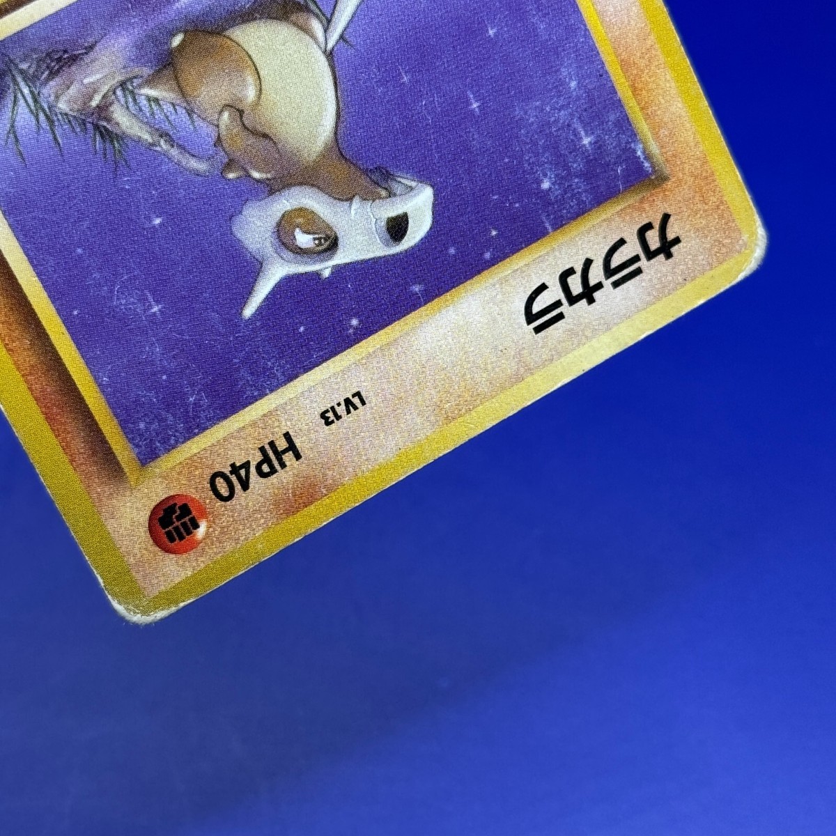 カラカラ Cubone 旧裏 Old Back 拡張 Expansion Cubone Pokemon Card OLD BACK TCG Nintendo Japan Edition Very Rare