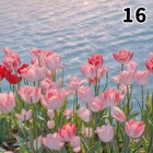 Bild 34 von 37