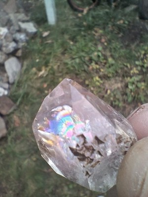 Herkimer   13g    From NY    