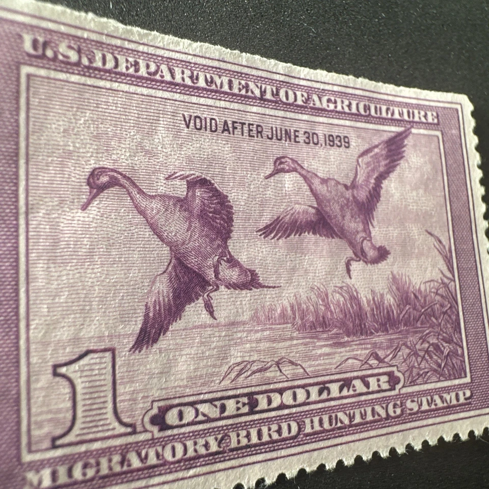 Estampilla de pato 1938 RW5 sin usar coleccionable de colección - sin firma de alta calidad Foto 2 de 4