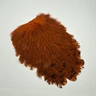 Soft Hackle Hen Saddle Patch Fly Tying - Crawdad Orange