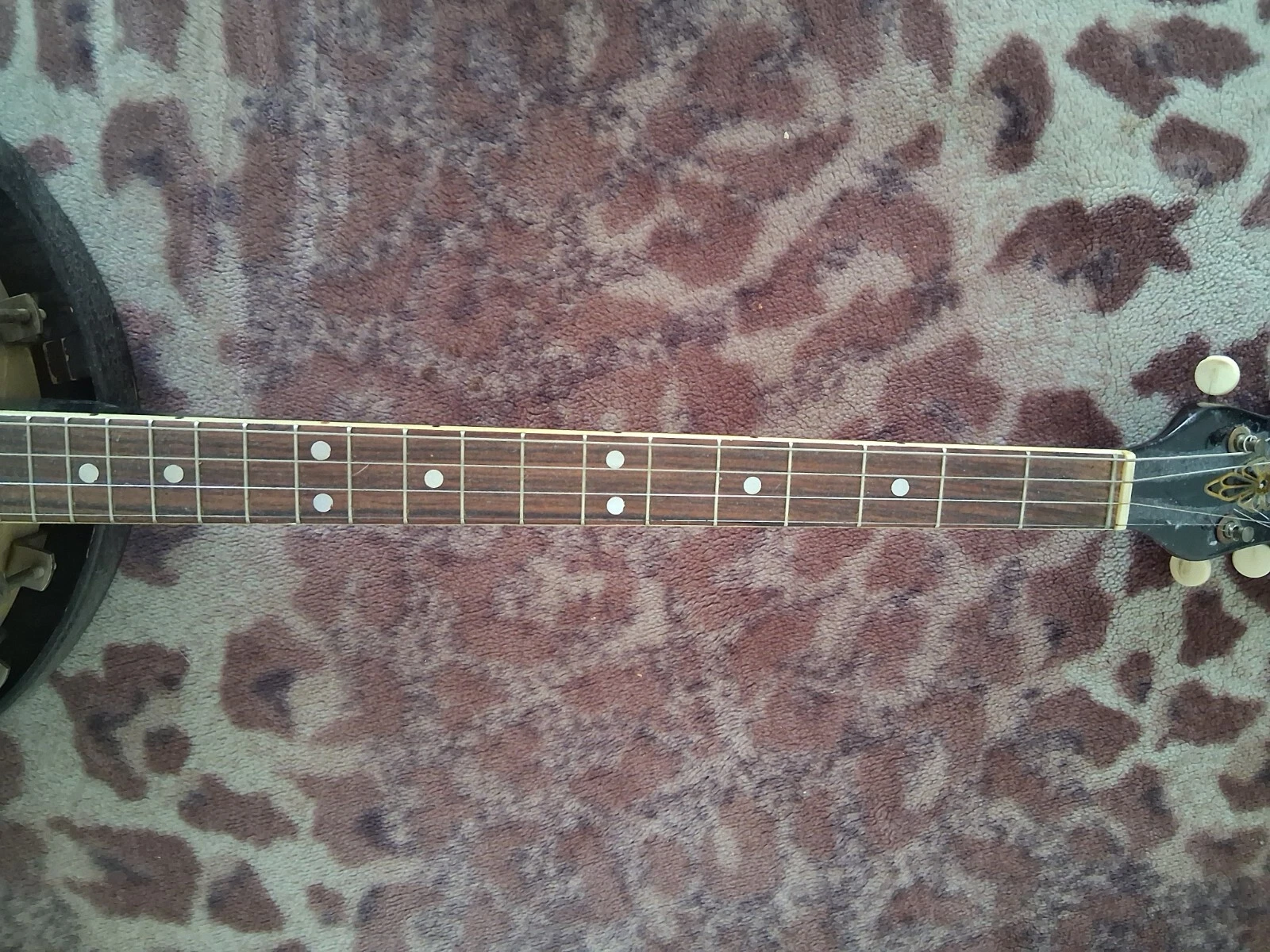 Picture 4 of 6