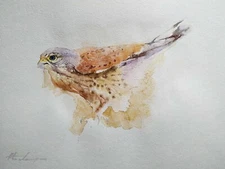 Kestrel, Birds, Watercolor artwork, Handmade, Original painting on paper