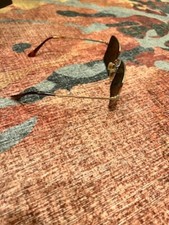 Pre-owned Ray-Ban Square RB1971 9147/31 Classic Gold / Green 54 mm Sunglasses