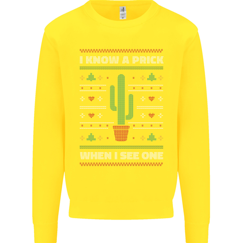 Funny Christmas Cactus Prick Kids Sweatshirt Jumper - Picture 70 of 87