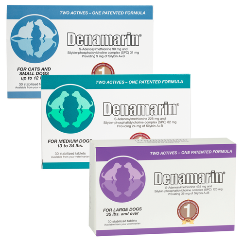 Nutramax Denamarin for Small Dogs and Cats 30 Tablets for sale online