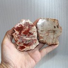Foto 5 di 8