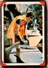 VINTAGE 1966 O-PEE-CHEE BATMAN (RIDDLER BACK) CARD#4 RARIN' 
