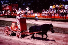 JULY 1969 Kid Clown Mini Horse Circus World Museum Baraboo Wisconsin Slide AZ-E