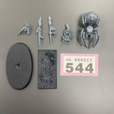 FOREST GOBLIN SPIDER RIDER SPIDERFANG GROTS THE OLD WORLD AOS