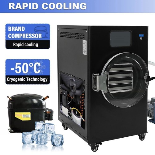 0.4㎡ Vacuum Freeze Dryer Lyophilizer for Food Vegetable Fruit Candy Coffee 220V - Picture 4 of 13