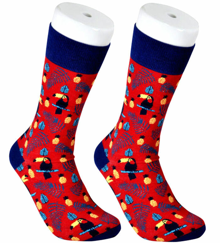 THE TIE STUDIO - Toucans Birds, Pineapples & Leaves on Red Novelty Socks