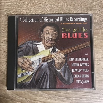 2 CDs John Lee Hooker / Muddy Waters Ive Got The Blues Actual | Zustand gut J