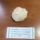 Translucent Paleo Round Scraper — photo 2