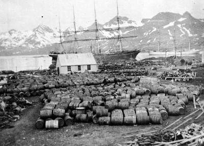 Barrels piled up at whaling station in mountainous 1912 OLD PHOTO