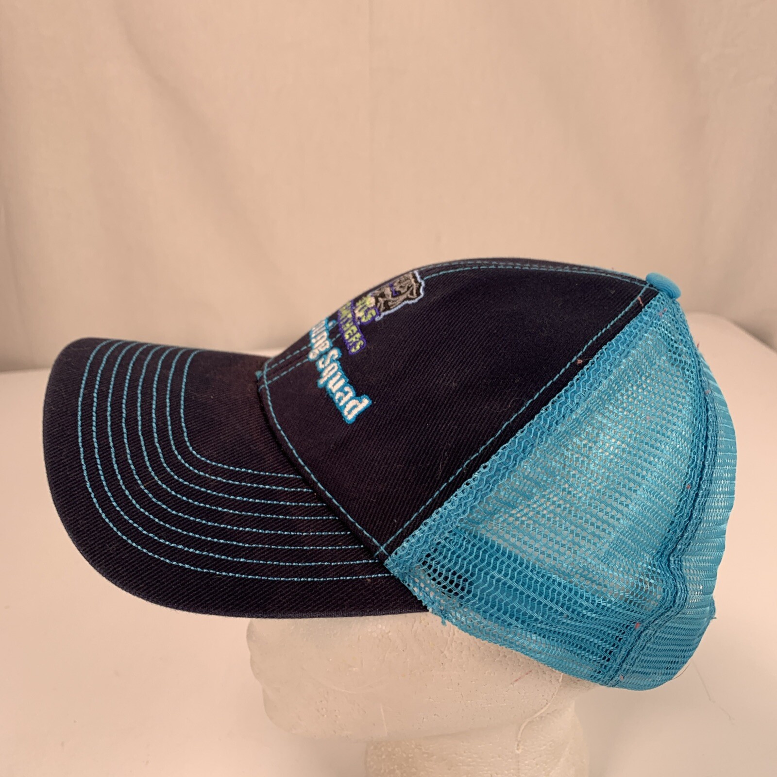 Panthers Learning Squad Ball Cap Baseball Hat - image 2