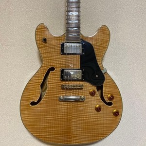 Washburn HB 35 | eBay