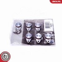 Esen SKV Reparatursatz Saugrohrmodul 49SKV545 FüR BMW 5Er E60 Touring E61 3Er X5