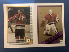 1988-89 O-pee-chee Stickers #006-135 Doug Wilson, Darren Pang RC