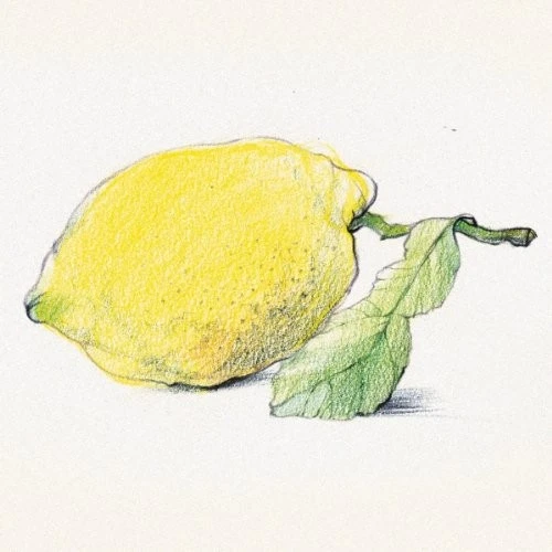 Staedtler pencils Karato Akuereru watercolor pencils 60 colors 125 M60 - image 4 of 4