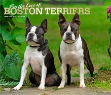 For the Love of Boston Terriers | 2026 14x24" (Hanging) Deluxe Wall Calendar