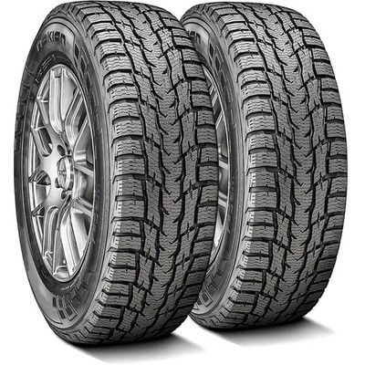 2 Tires Nokian Tyres WR C3 EV Ready 205/65R15 C 6 Ply Commercial
