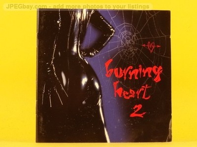 VARIOUS ARTISTS BURNING HEART 2 (CDS 3 AND 4) (2 x CD) (911) 20+ Track CD Album 