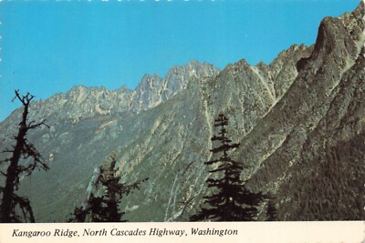 Postcard WA Kangaroo Ridge North Cascades Highway Snag Tooth Ridge