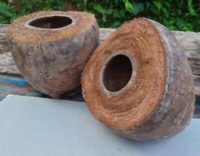 2pcs Coconut Bird House Animal Cages Pet Toys Breeding Nest Home decor Husk