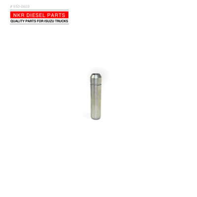 Guide Valve For Isuzu NHR 4JB1T 2.8L 2006-2014 New Oem