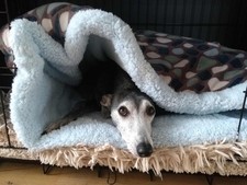 Purple/Brown Pebbles Cuddle Fleece Snuggle Wrap Cave Dog Beds