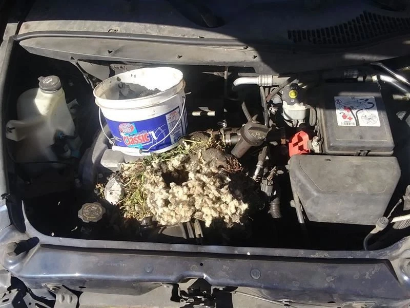 Cambio de transmisión HHR 2011 27057686 Foto 2 de 4