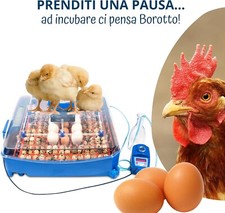 Incubatrice Professionale Automatica Lumia 56 Expert Borotto | 56 Uova 🔝