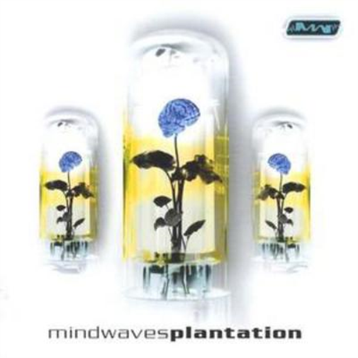 Various Artists Plantation (CD) Album