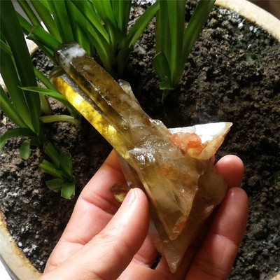 182g 114mm Clear Citrine Lemurian Quartz Rare Crystal Cluster Point Specimen