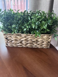 14" Artificial Ruscus in Rectangular Wicker Planter Box Faux Plant