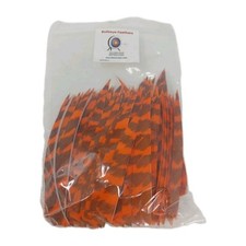 100 Pack Bullseye Arrow Feathers 5" Right Wing: Shield Barred Hunter Orange