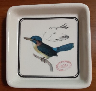 British Natural History Museum Bird 4-3/8'' plate Rare 